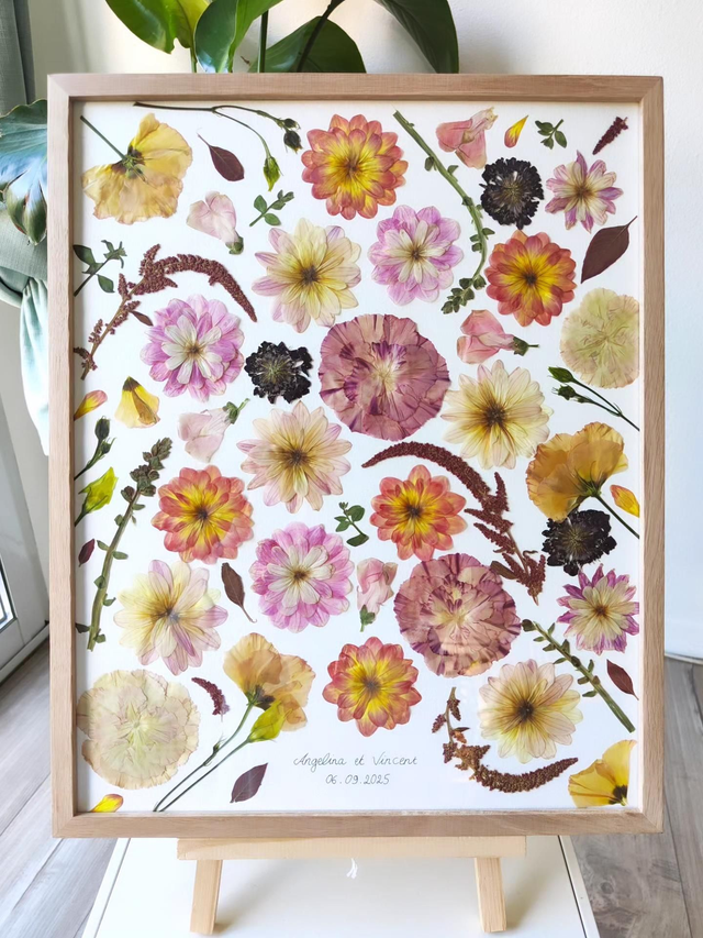 Herbier conservation de bouquet sur papier