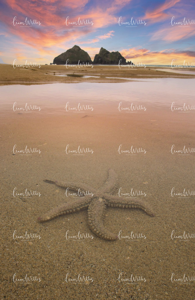 Starfish Sunset Beach Print