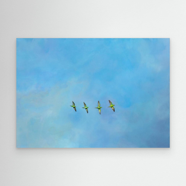 Escape Artists - (Parakeets)