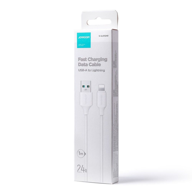 USB vers lightning (iPhone/iPad)