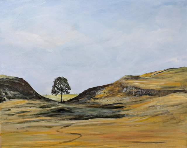 Sycamore Gap tree