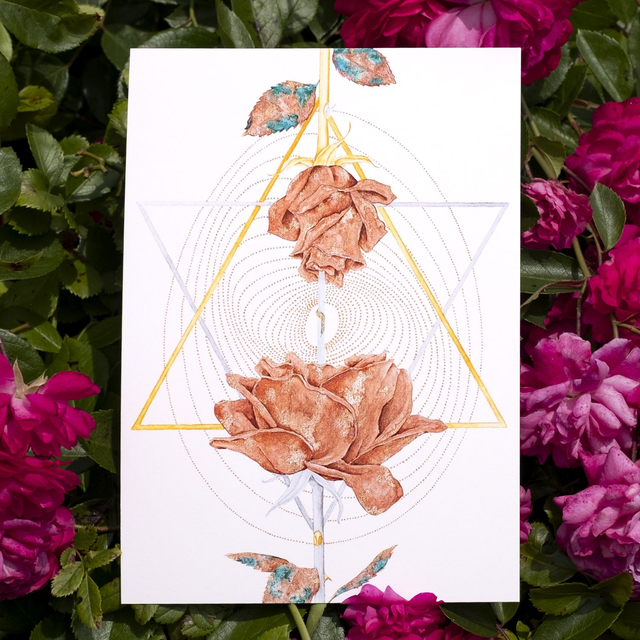 Rose Cuivre A5 