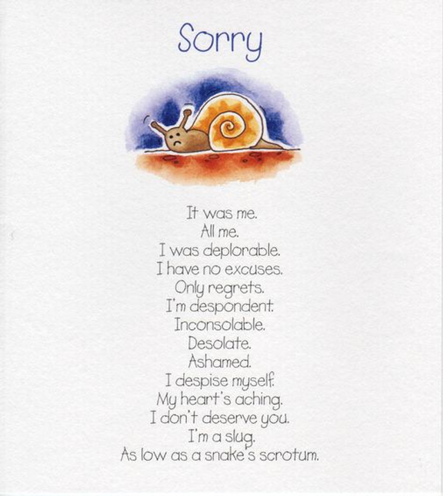 Sorry - Greeting Card