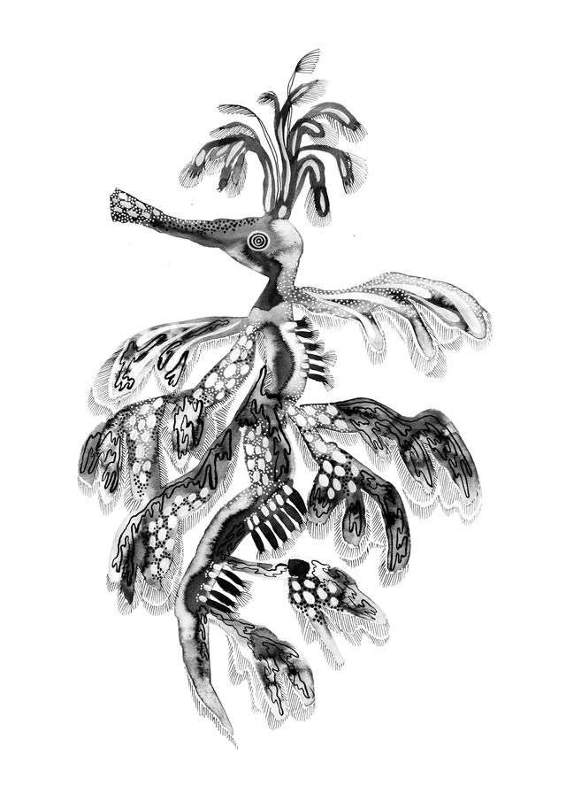 Sea dragon / Collection Minä &amp; Meri / A5, A4, A3, A2 print