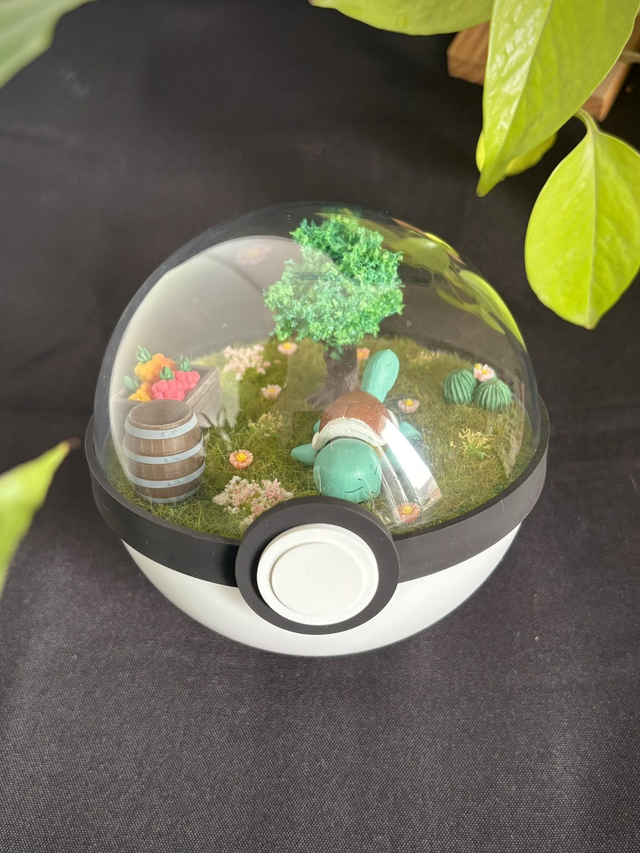 🌼 Terrarium Pokémon - Édition printemps -  Carapuce