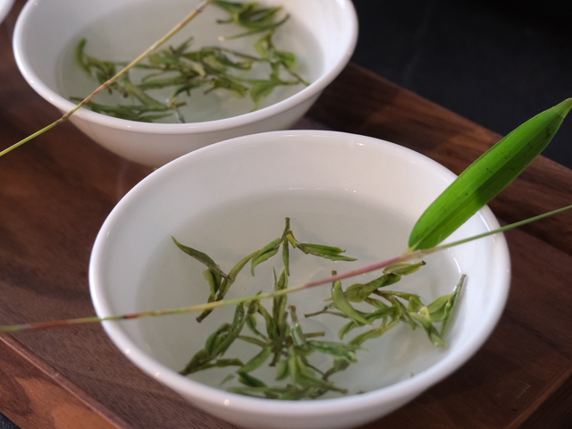 头采安吉白茶2025 1e cueillette AN JI BAI CHA