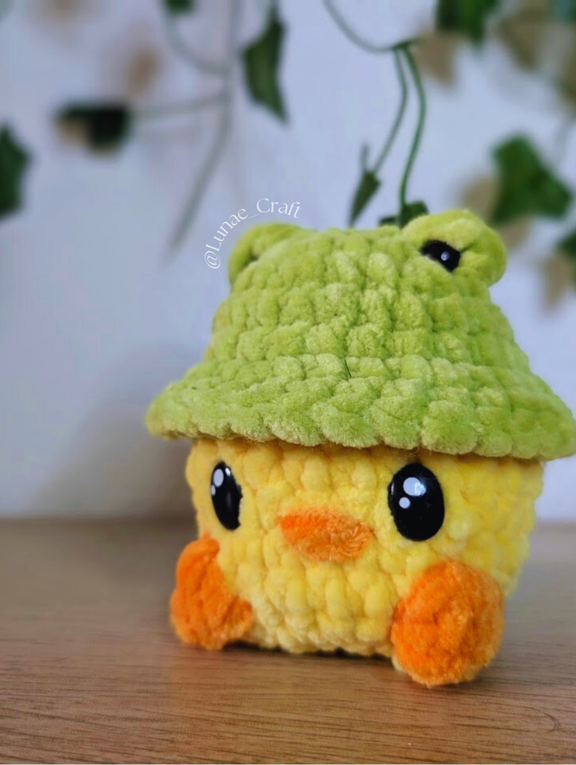 Mini poussin avec chapeau de grenouille , animal mignon