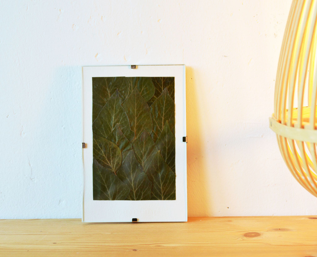 Tableau 10*15 cm - Mini herbier tapis de lierre