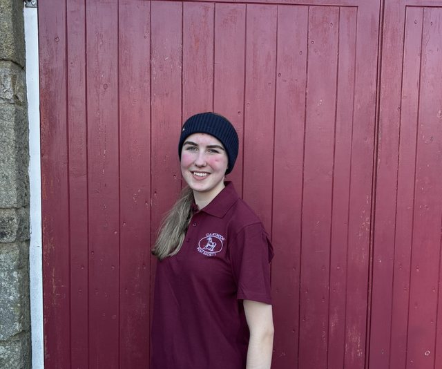 Unisex Polo - Burgundy - Medium 