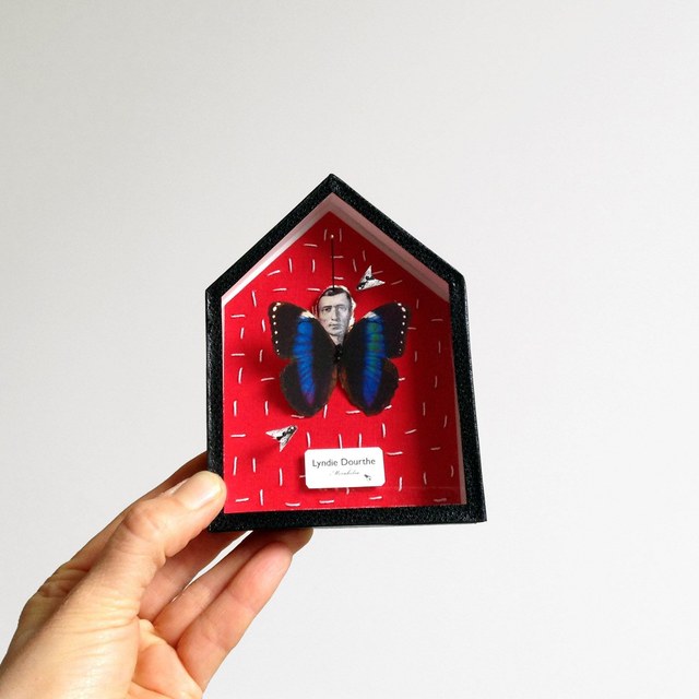 Maison-papillon / n°1