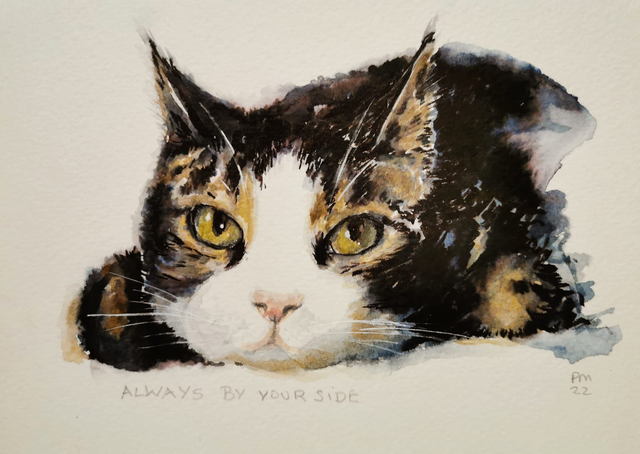 Watercolour Pet Portraits