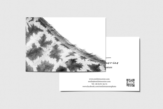 Carte postale "Toboggan"