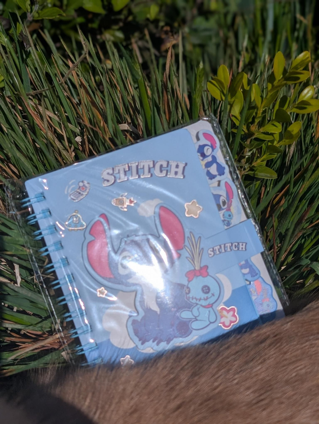 Carnet Stitch 