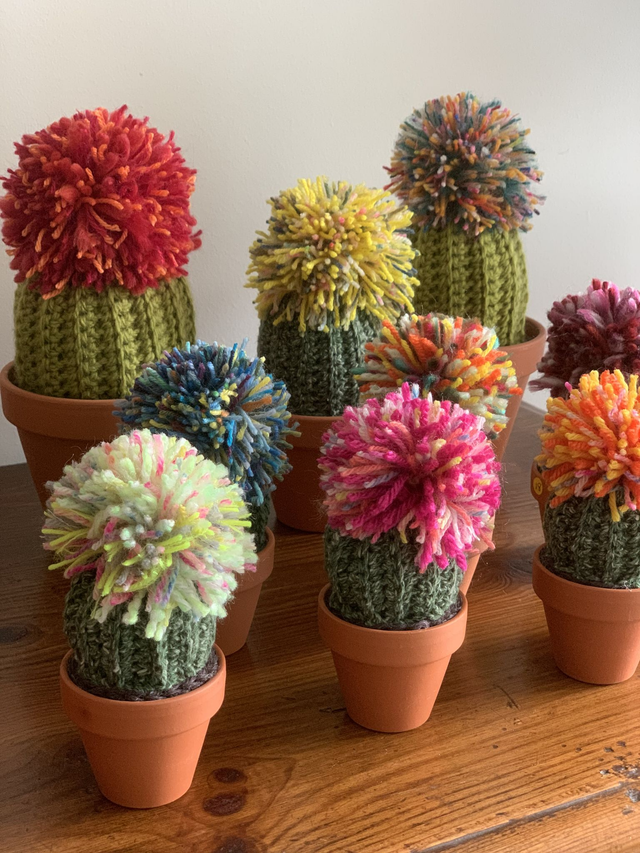 Cactus Pompon