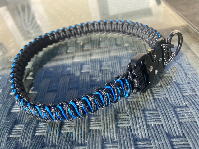 Collier salamandre bleu