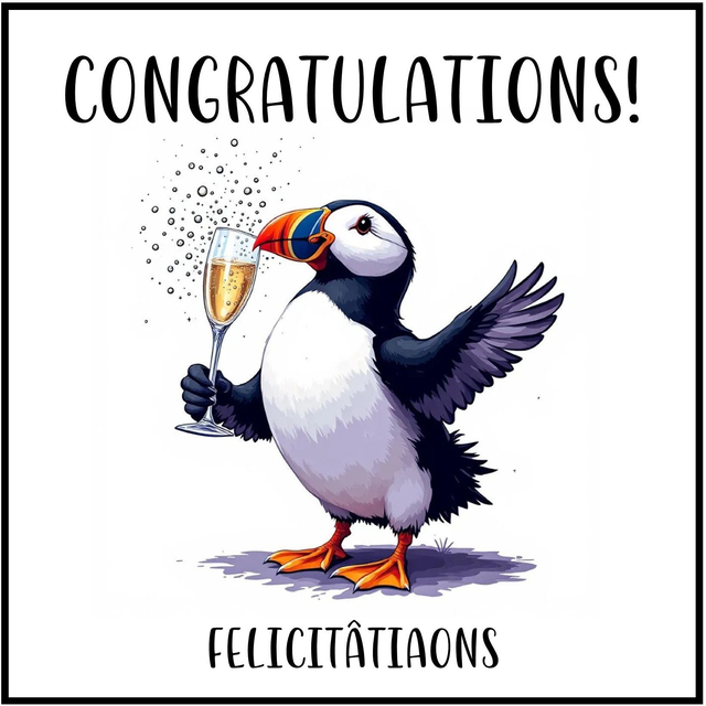 100 CARD - OCCASION CONGRATULATIONS PUFFIN CHAMPAGNE