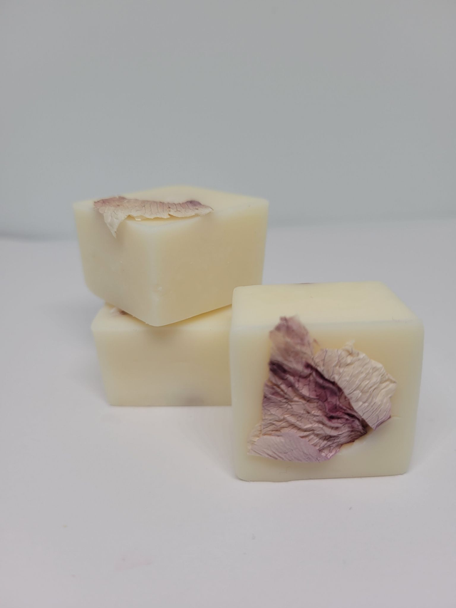Vanilla Eco-Friendly Wax Melts