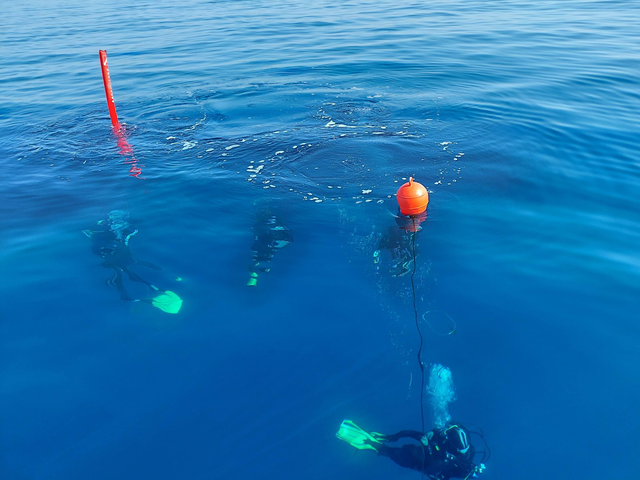 Niveau 2 FFESSM / ANMP