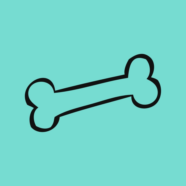 Treat 'n' Chew Bag - £15.00