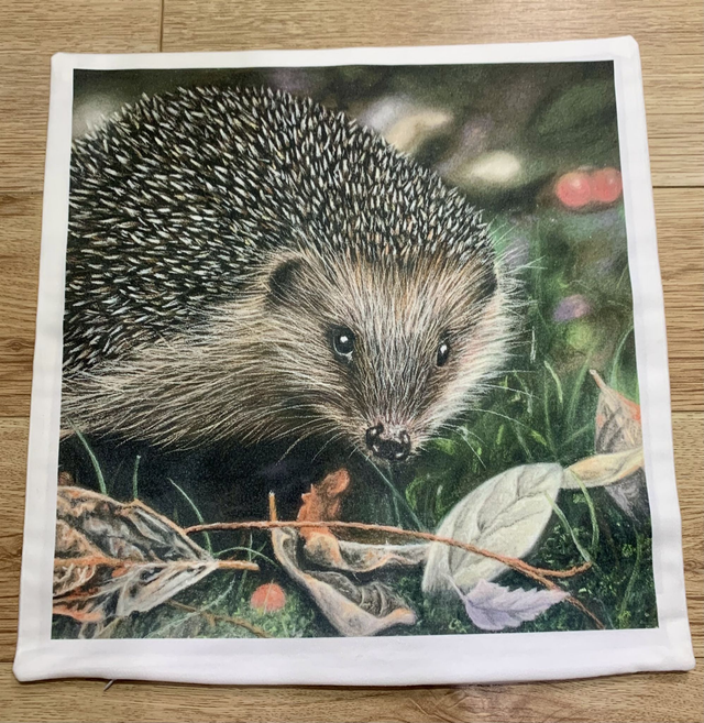 40x40cm soft feel cushion cover with hedgehog design