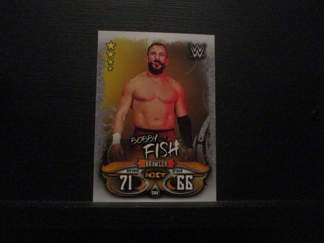 Bobby Fish - NXT Slam Attax Live Original Trading Card #203