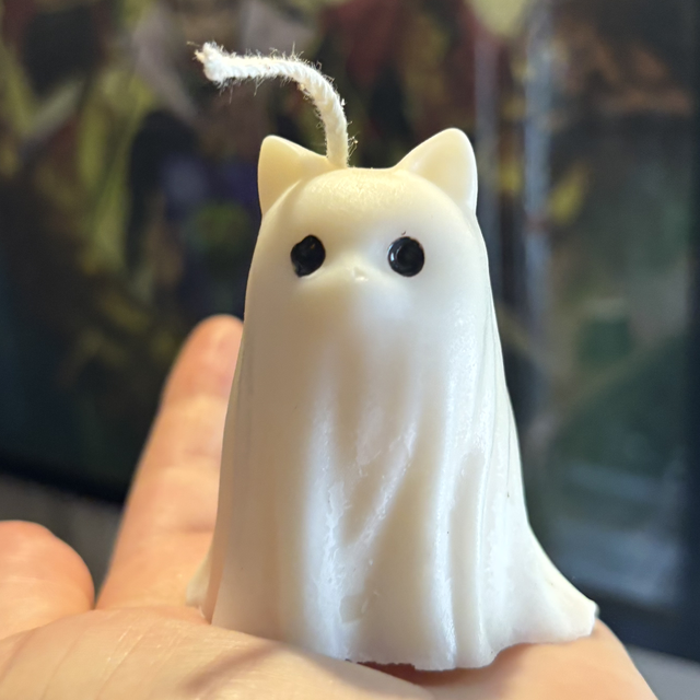 Chat Fantôme - Édition spéciale Halloween 
