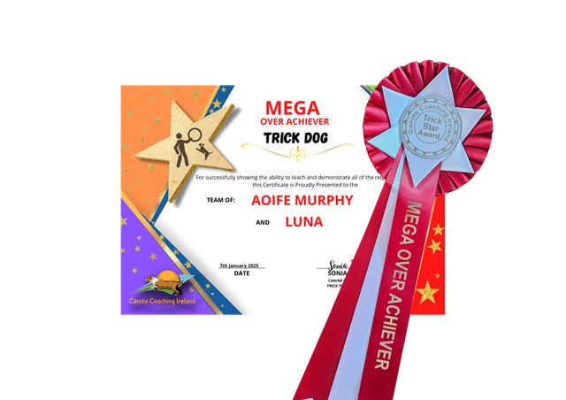 Mega Over Achiever - Cert &amp; Rosette  