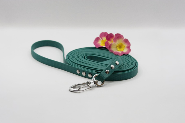 Longe Hexa 5 m – Balades &amp; éducation (pour les moyens et grands chiens)
