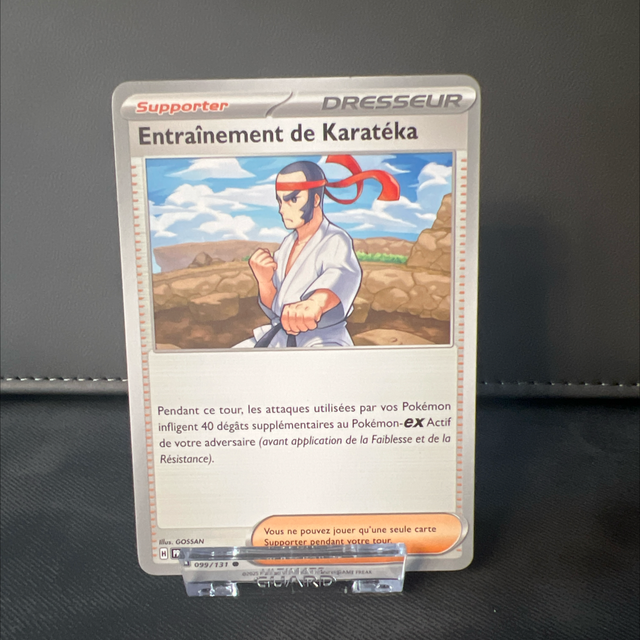 Entraînement de Karatéka 099/131