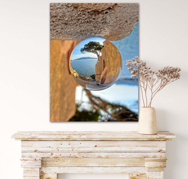 Arbre de Sanary-sur-Mer