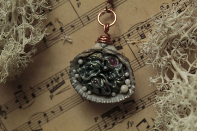 Coquillage Métamorphe- n°4