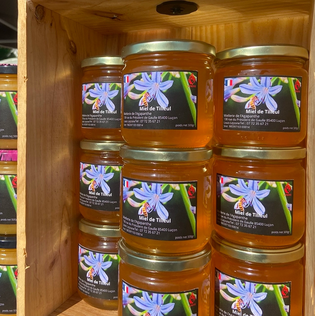 Miel de tilleul 