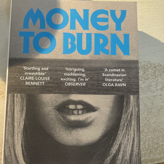 money to burn (paperback) asta nordebhof