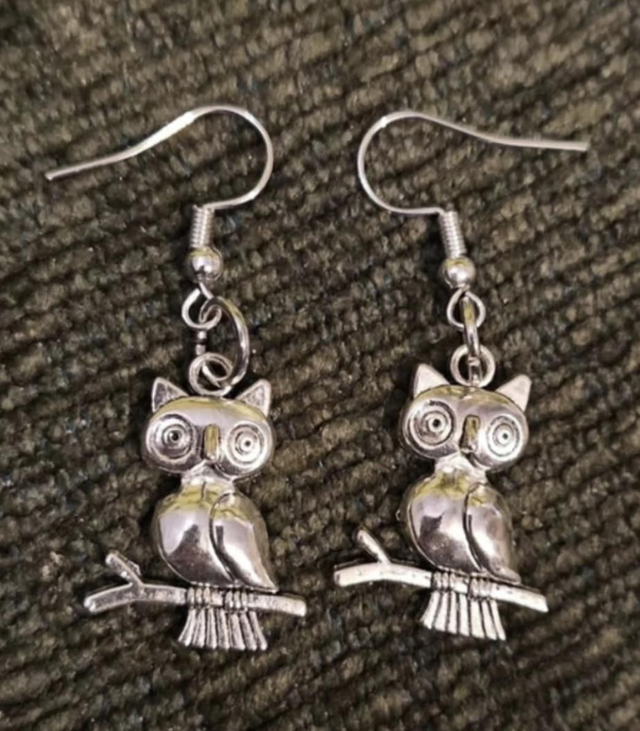 Owl Earrings 