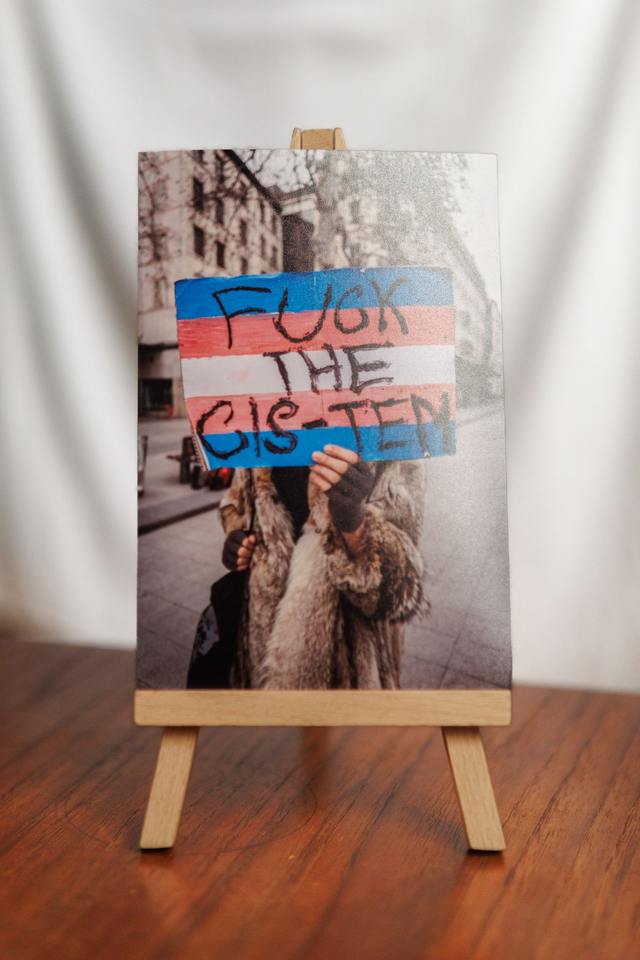 Print FUCK THE CIS-TEM