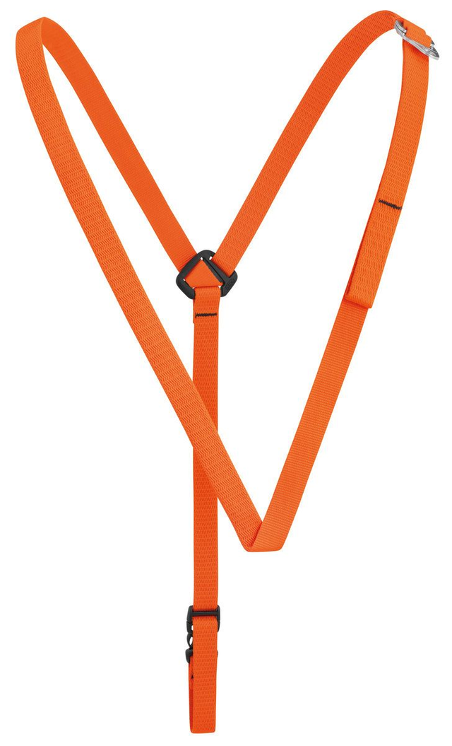Petzl Torse inkl. Versand CH