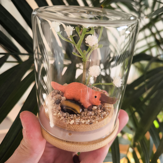 Ami protecteur - Ornithorynque (oeil de tigre)