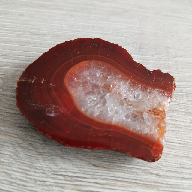 Versteend hout – Aarding &amp; Geduld (12.071)