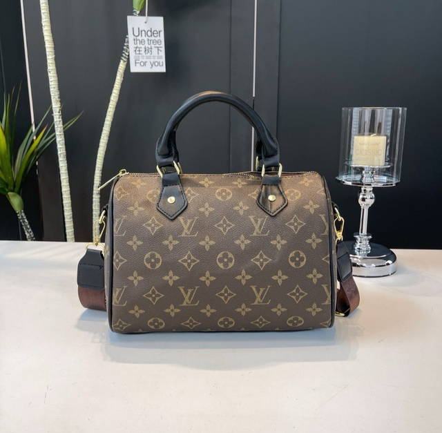 Sac LV 25