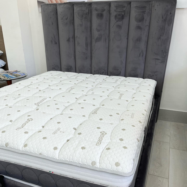 Penelope matrimoniale