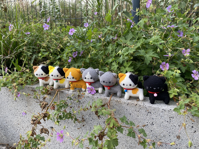 So Cute Mini Walking Cat