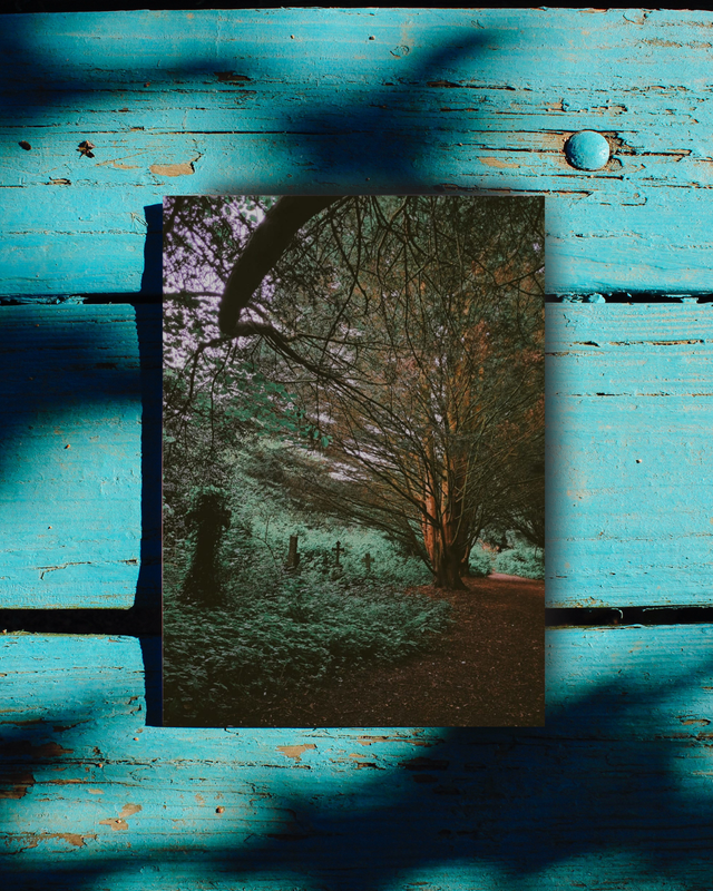 Memories in the Foliage 