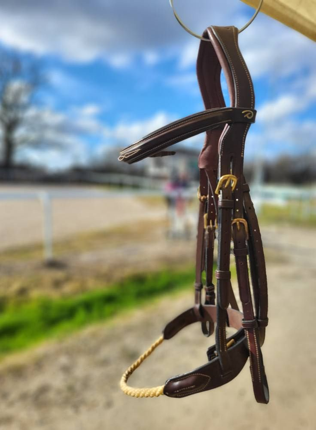 Bridon DYON havane – muserolle corde – têtière anatomique - full - occasion 