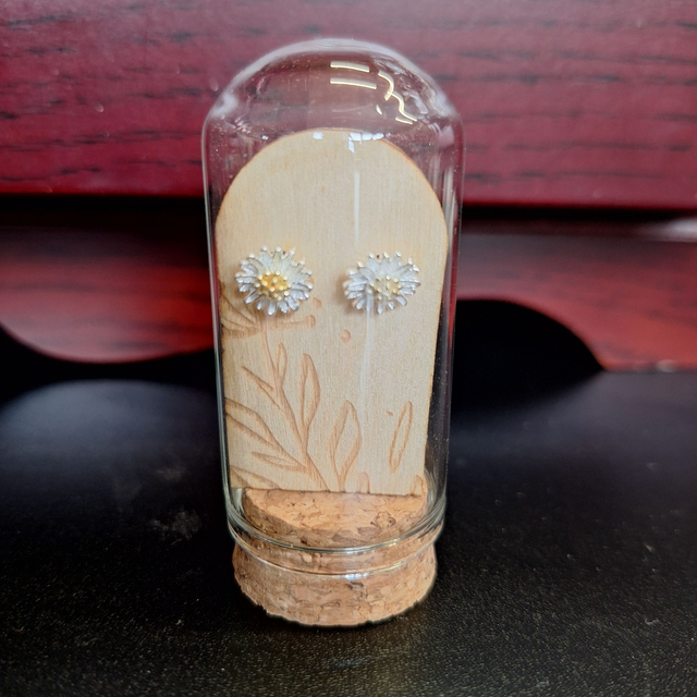 Silver or gold metal plated or stainless steel earrings (Five styles)