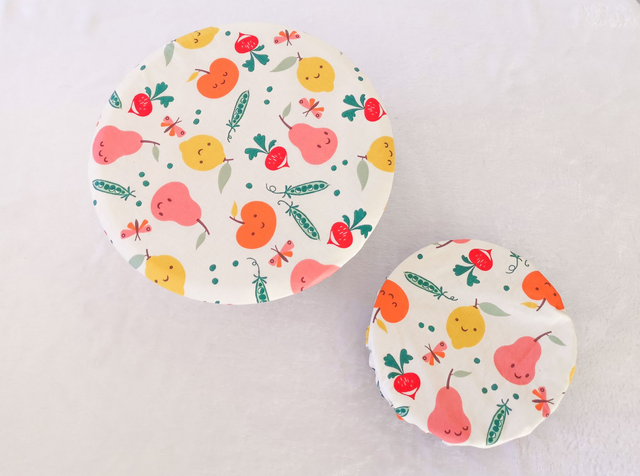 Lot de Charlottes alimentaires Frutty