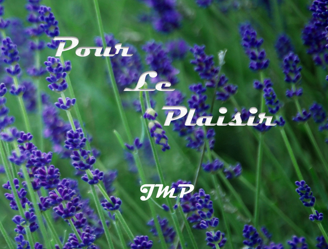 13 - Pour le plaisir