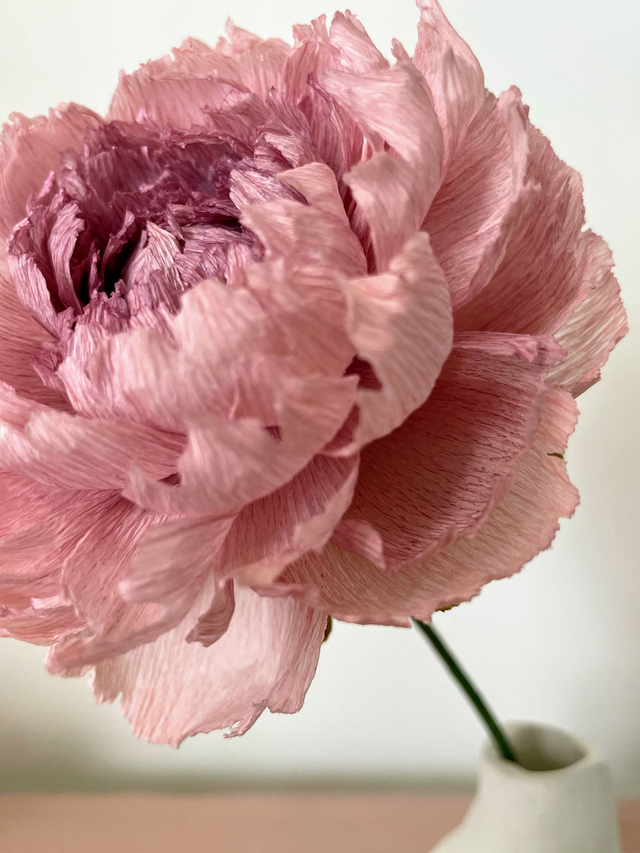 Pivoine "Almaé" avec son vase artisanal offert