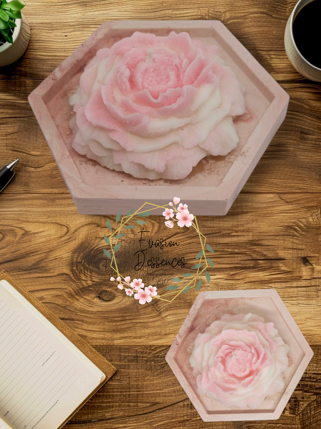 Bougie Fleur Azalée du japon + coupelle en jesmonite