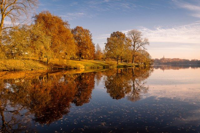 Herbstbäume im Aaseespiegel