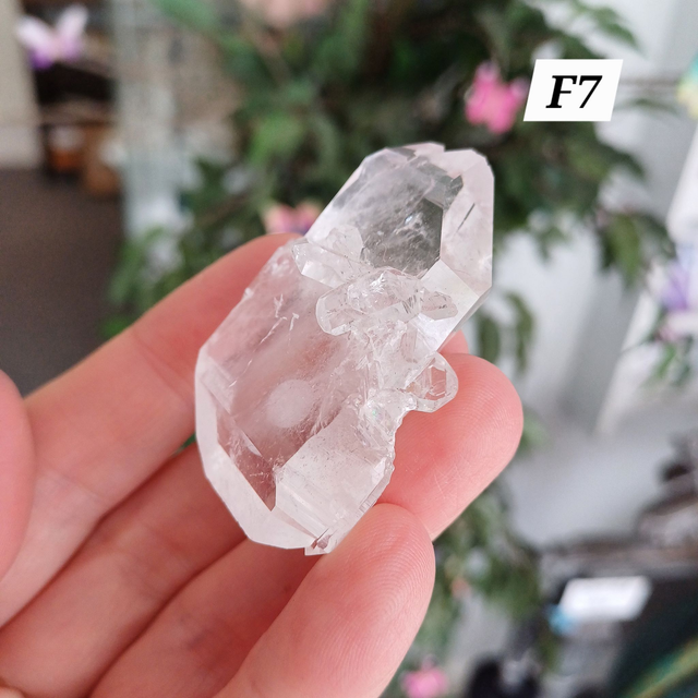 Lemurian Faden Quartz